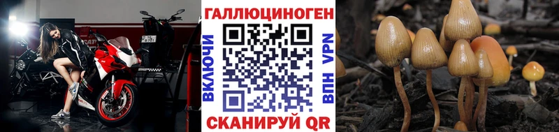 shop какой сайт  где можно купить наркотик  Ханты-Мансийск  Псилоцибиновые грибы GOLDEN TEACHER 