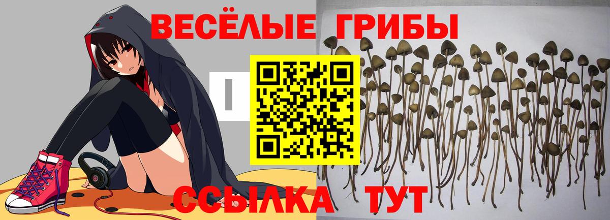 Псилоцибиновые грибы MAGIC MUSHROOMS Ханты-Мансийск