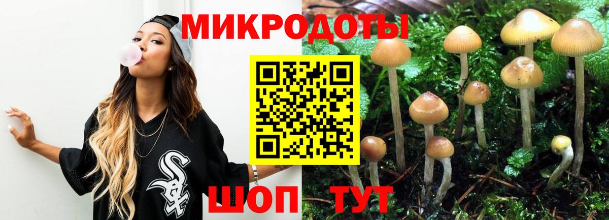 Галлюциногенные грибы Psilocybine cubensis  Псилоцибиновые грибы мицелий  как найти наркотики  Ханты-Мансийск 