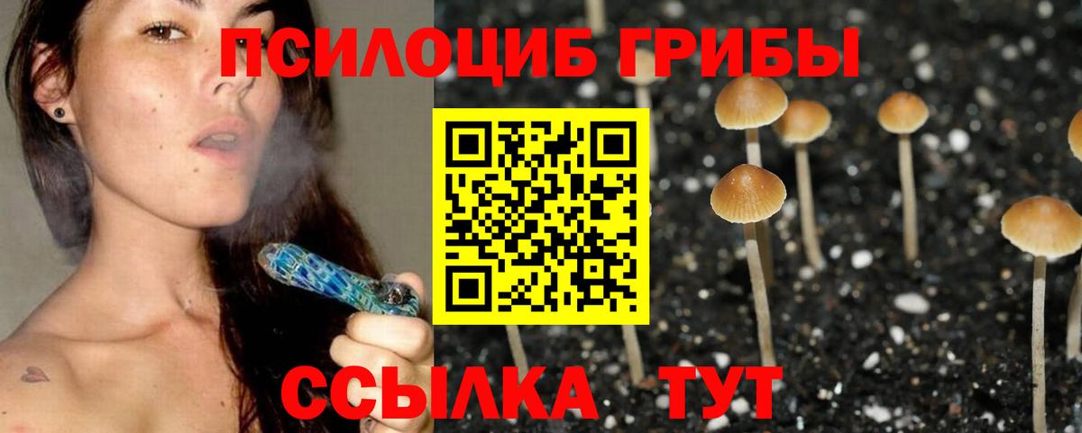 Галлюциногенные грибы Psilocybe  Псилоцибиновые грибы мицелий  Ханты-Мансийск  Вход с VPN 